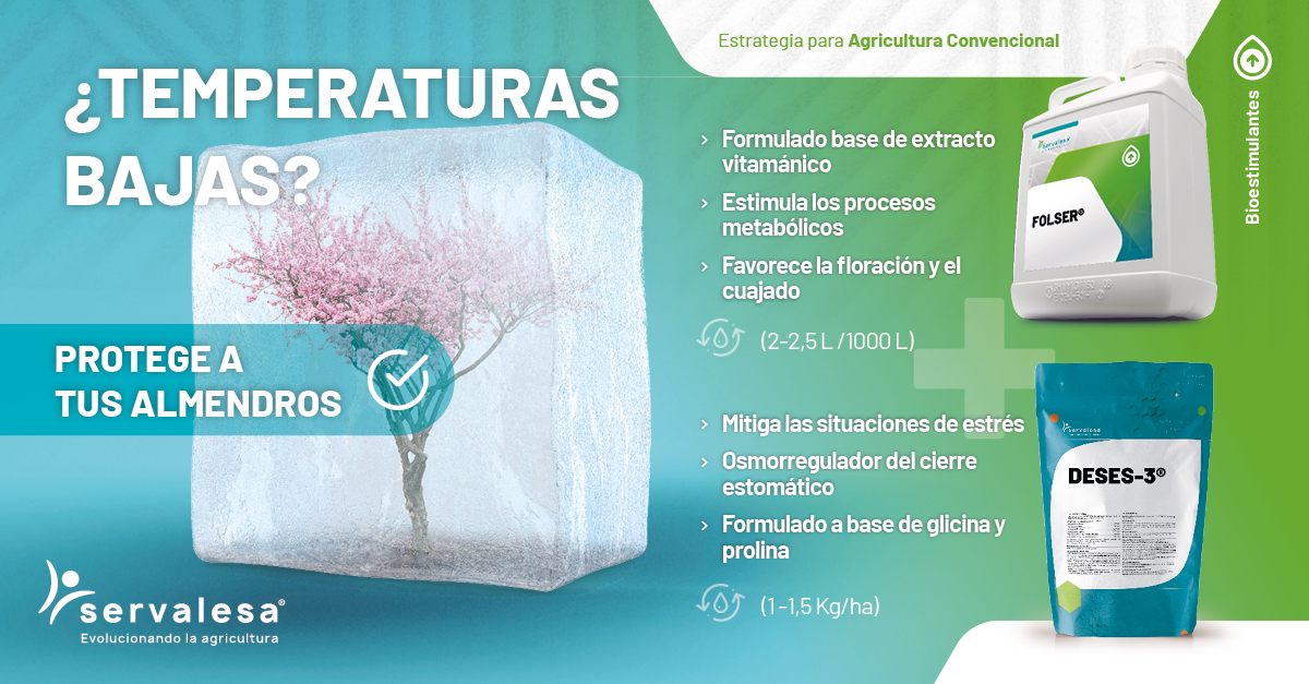 Servalesa - Reduce el estrés provocado por situaciones climáticas ...