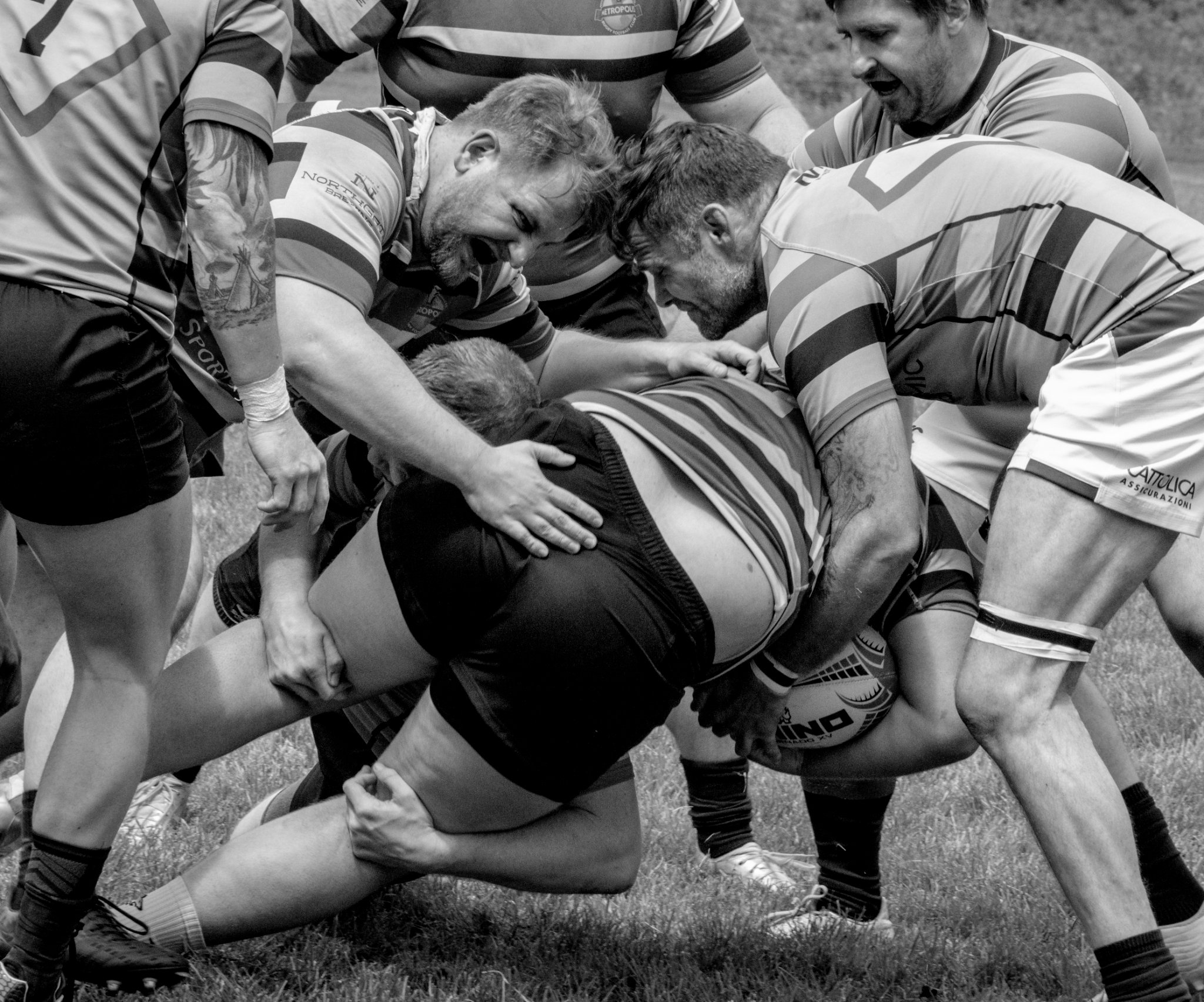 Max Rugby