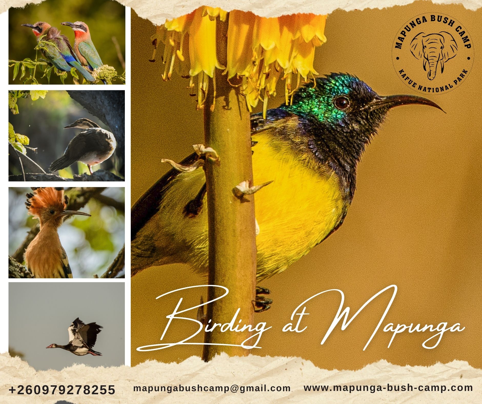 Mapunga Bush Camp is the ideal... - Mapunga Bush Camp | Facebook