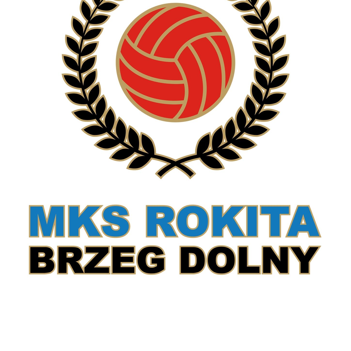 MKS Rokita BRZEG... - MKS Rokita BRZEG DOLNY Sekcja Siatkówki