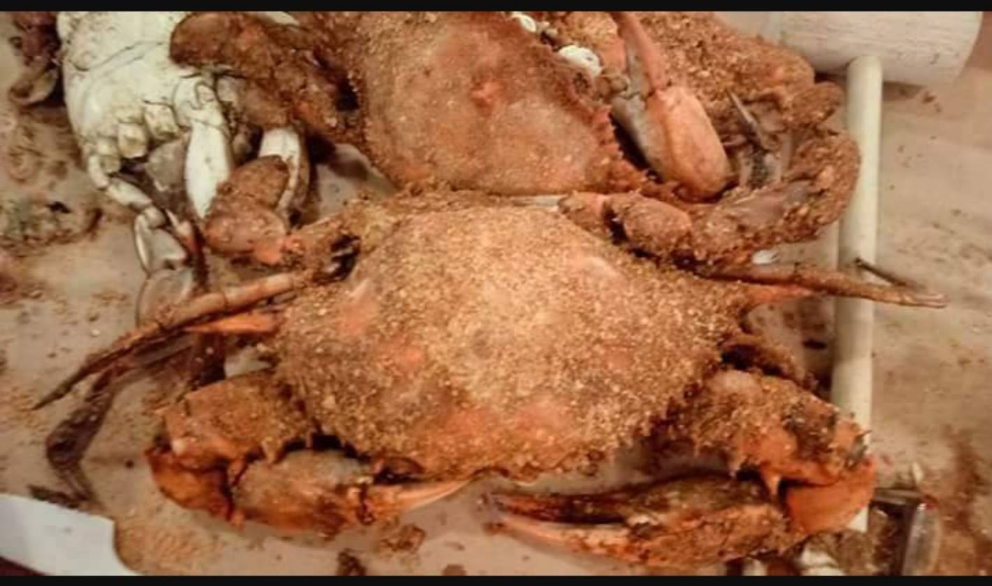 Rube's Crab Shack | Facebook