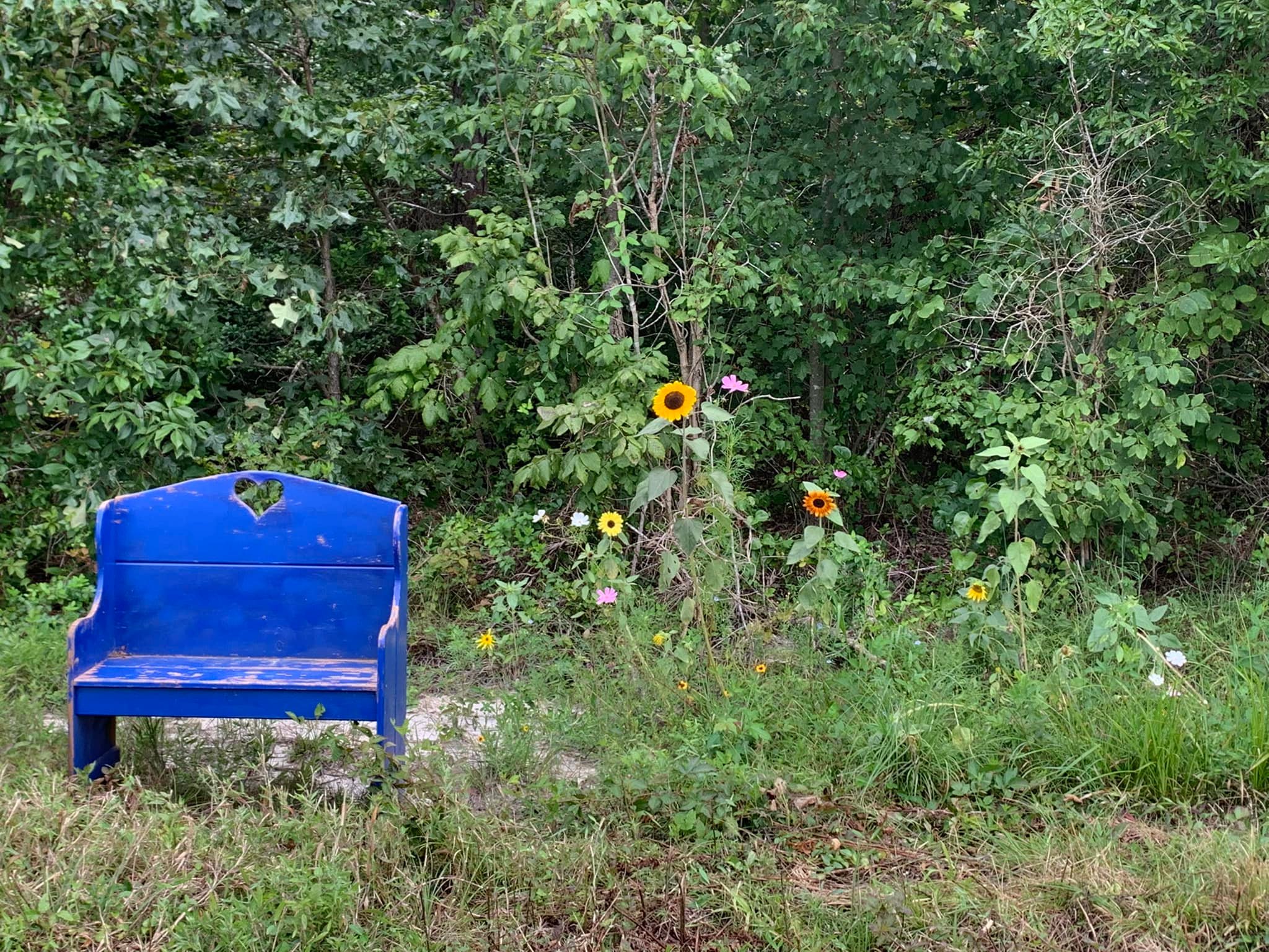 Bull Run Ranch - 🌻 🌸 #BRR #BullRunRanch... | Facebook