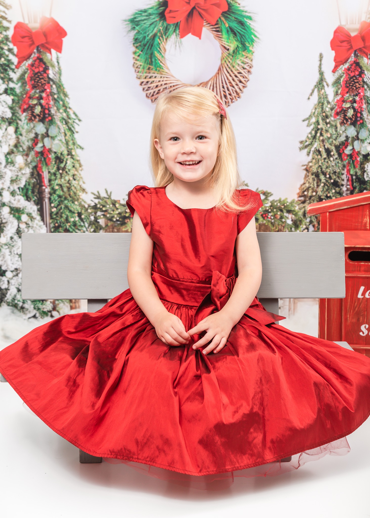 A stunning beautiful Christmas Star ❤️❤️ Francesca ❤️❤️ 📷 De Carlo photography