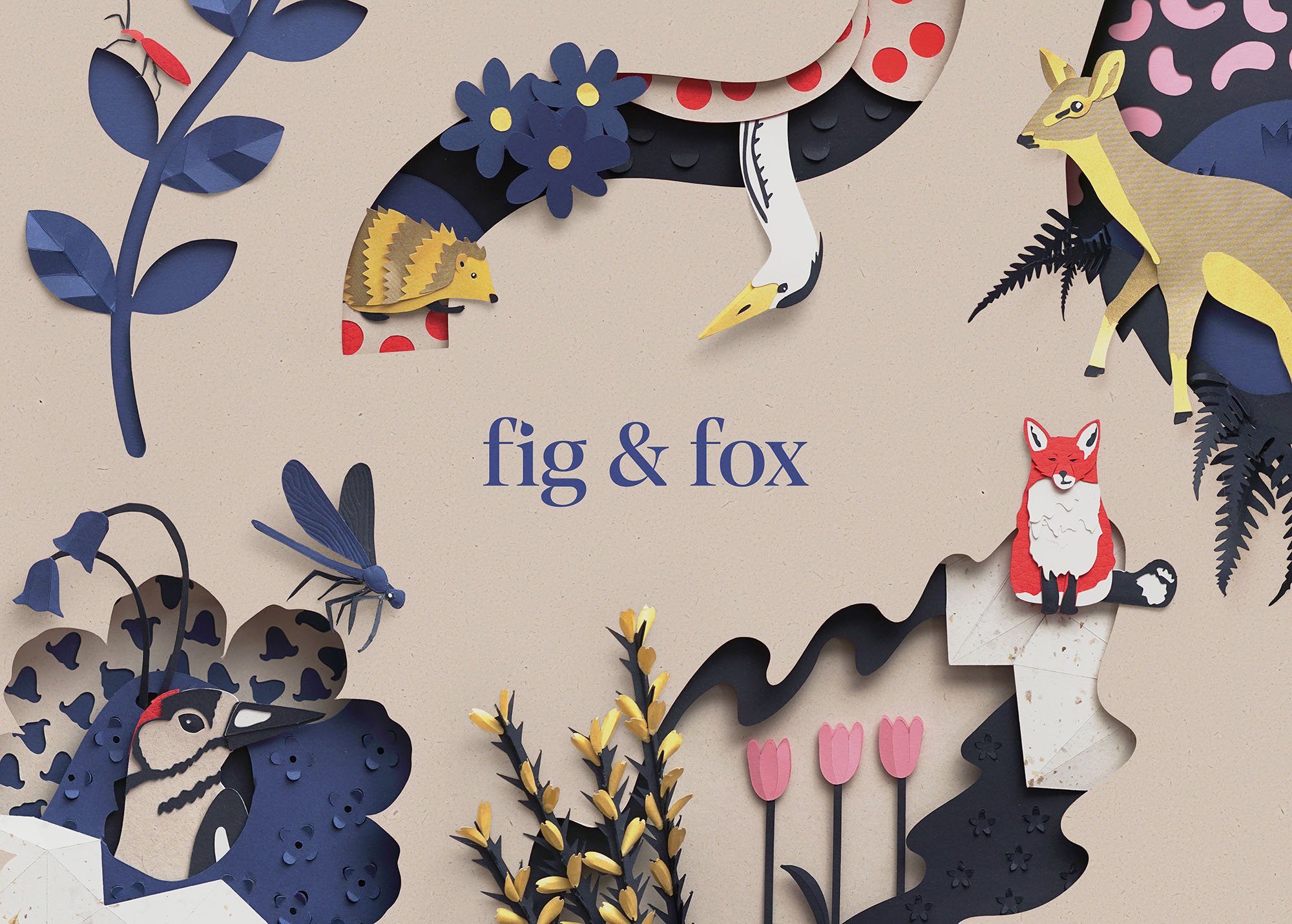 Sam Pierpoint - New illustrations created for Fig & Fox, a...