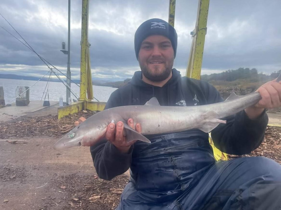 Few fish sent in from Liam gill... - Seaglo Fishing Tackle