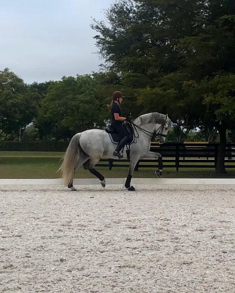 Jordan Lockwood Dressage