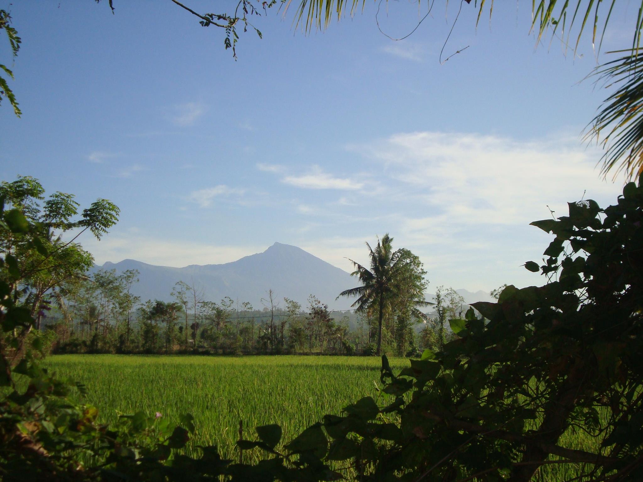 Desa Rensing Bat