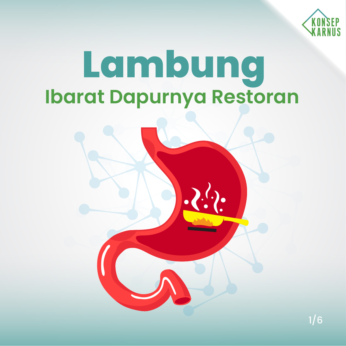 Coba yuk kurangin kebiasaan minum... - Edukasi Konsep Karnus