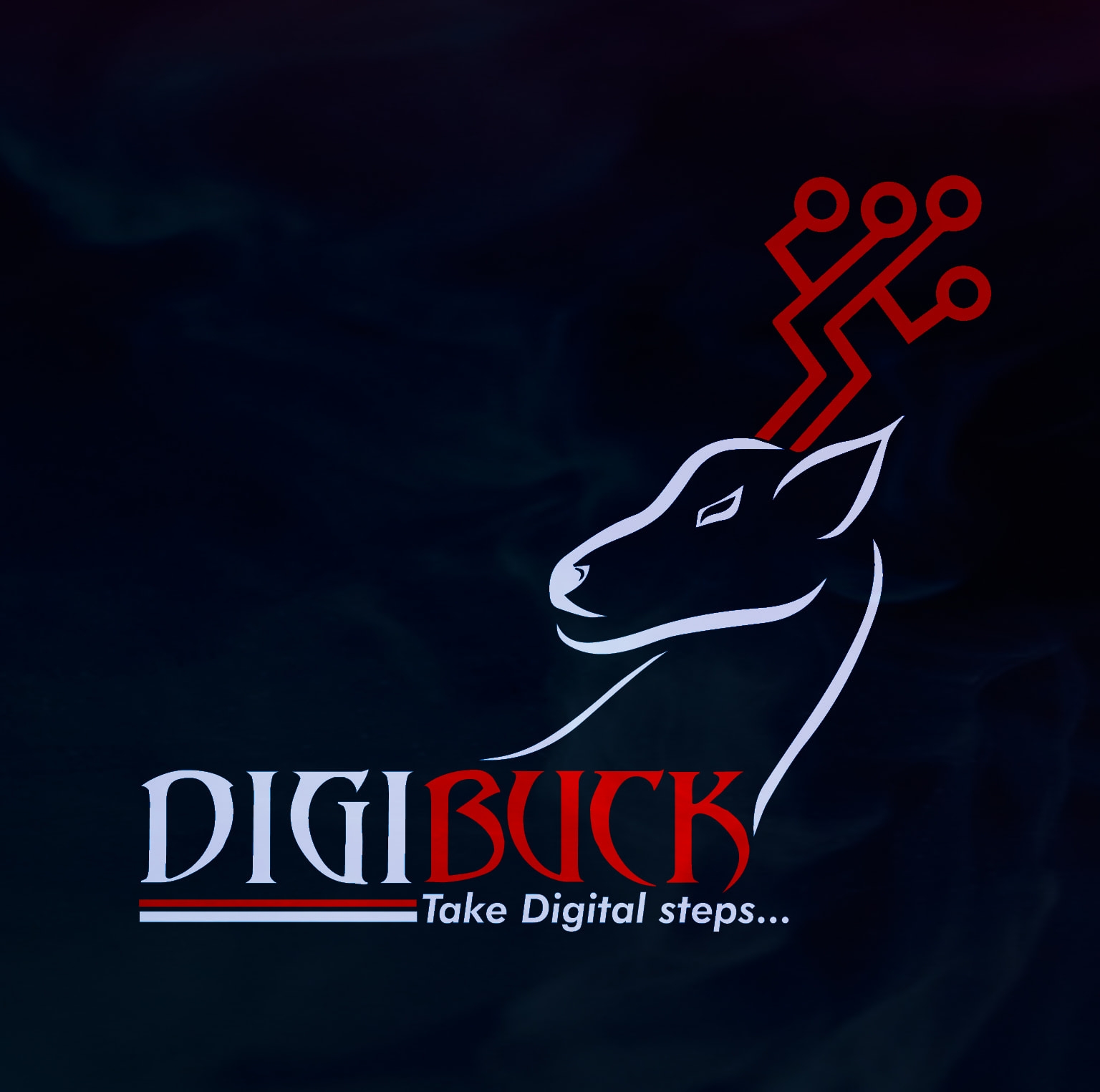 DigiBuck