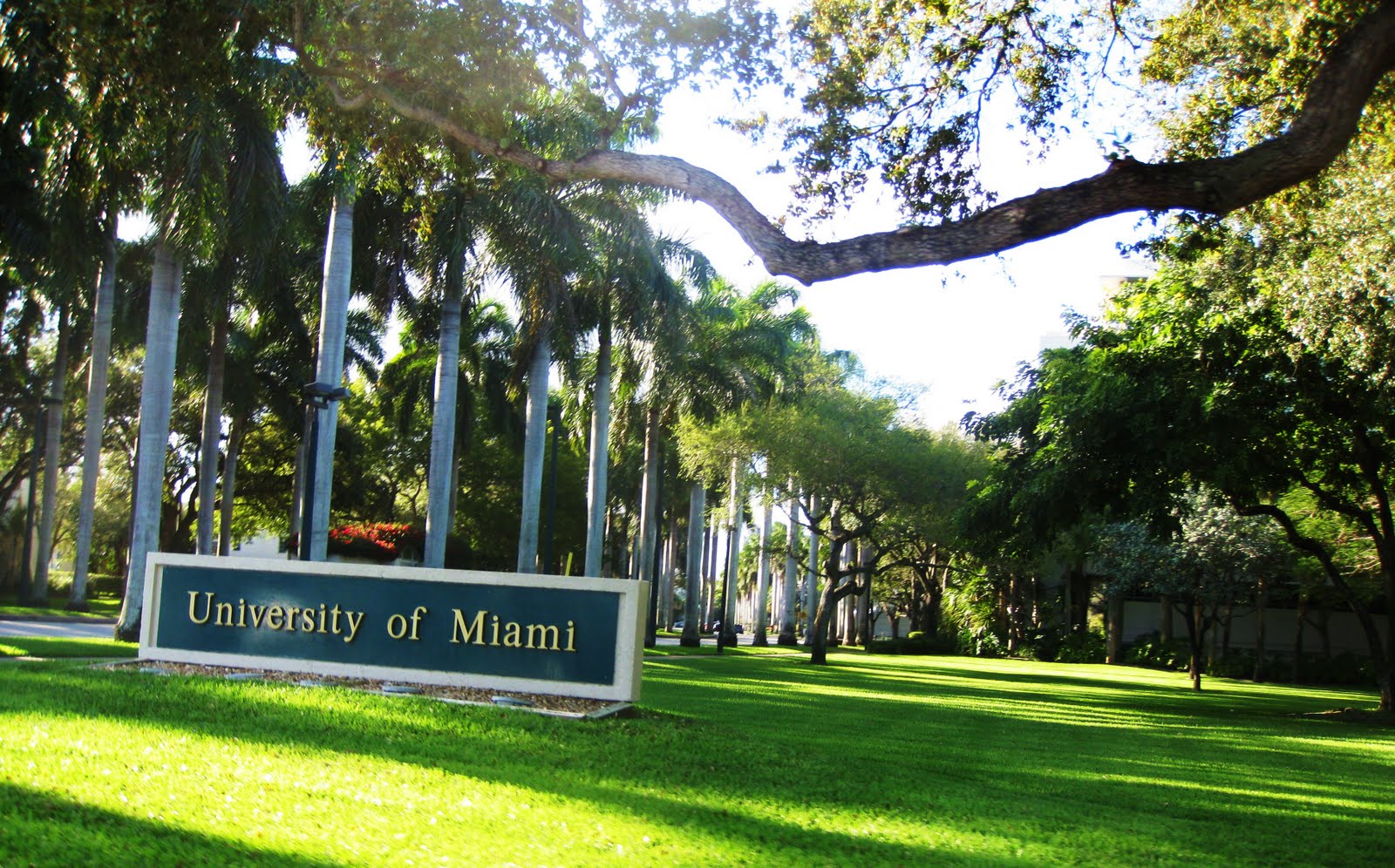 UM... - UM Masters Program in Community and Social Change