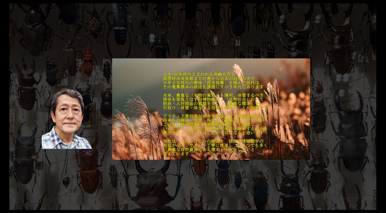 小堀文彦 Fumihiko Kobori added a new photo. - 小堀文彦 Fumihiko Kobori