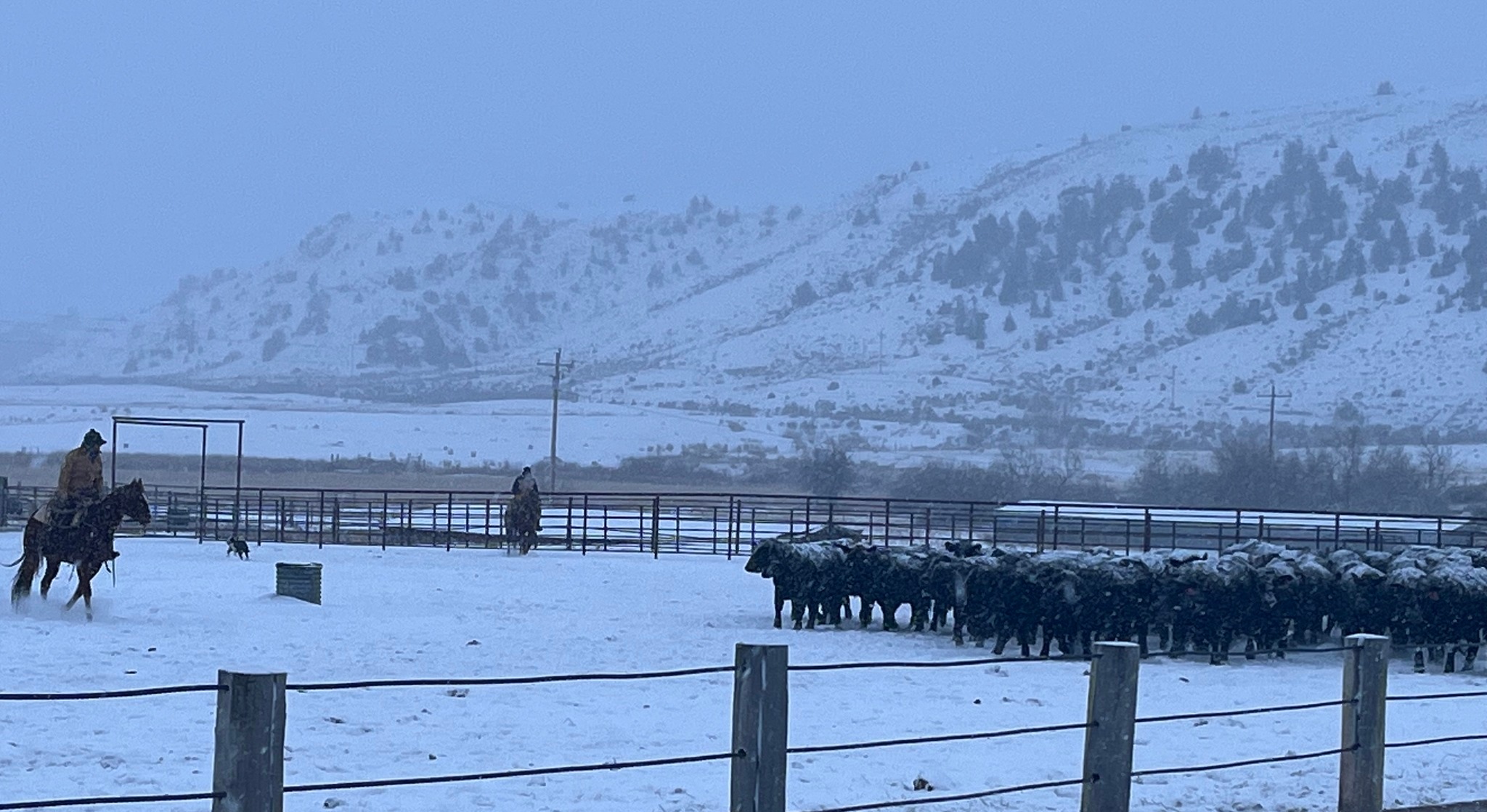 LU Ranch