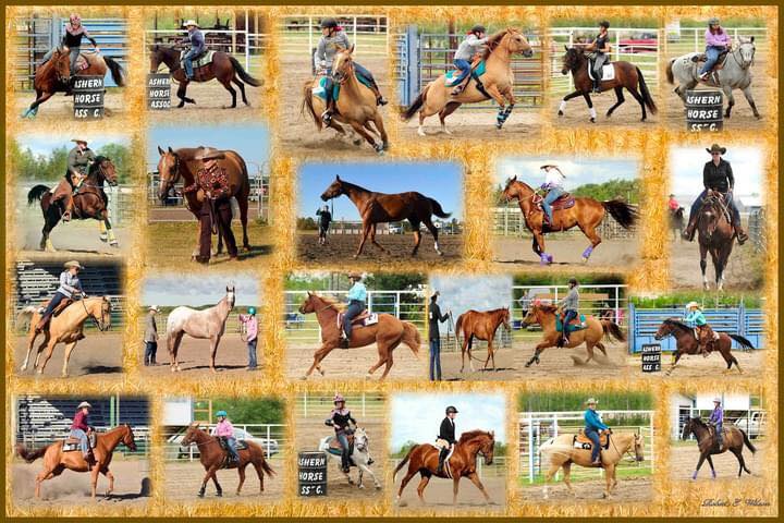 North Interlake Show Circuit - NISC