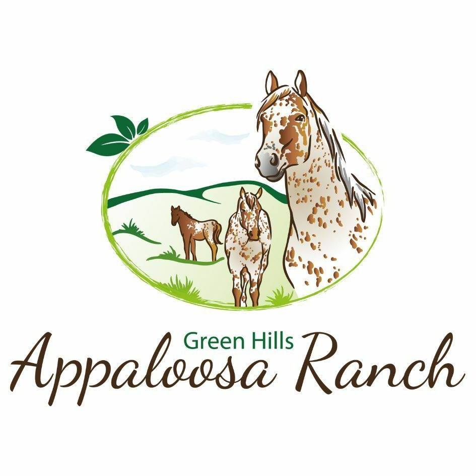 Green Hills Appaloosa Ranch... - Green Hills Appaloosa Ranch