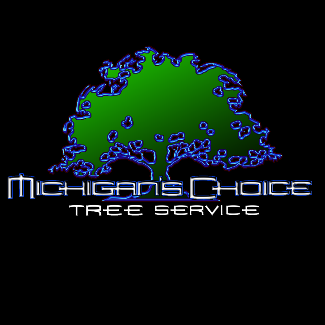 Storm Support Emergency Tree Removal LLC | Rockford MI
