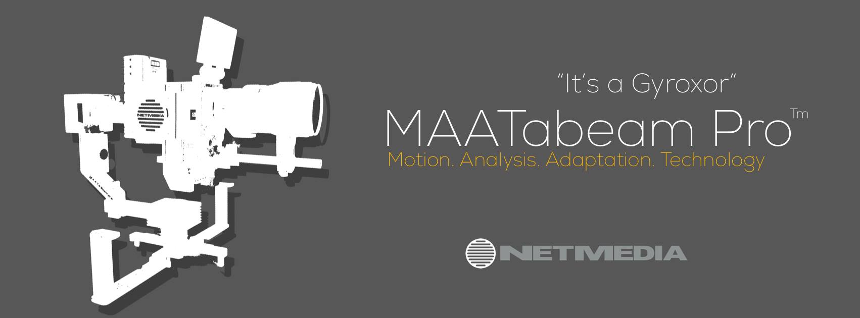 Netmedia