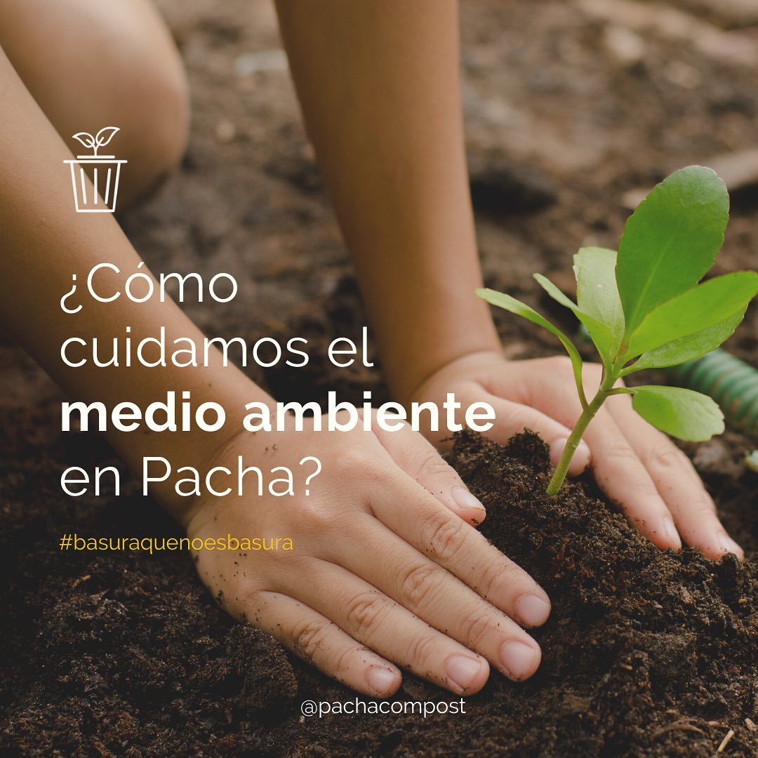 Pacha Compost