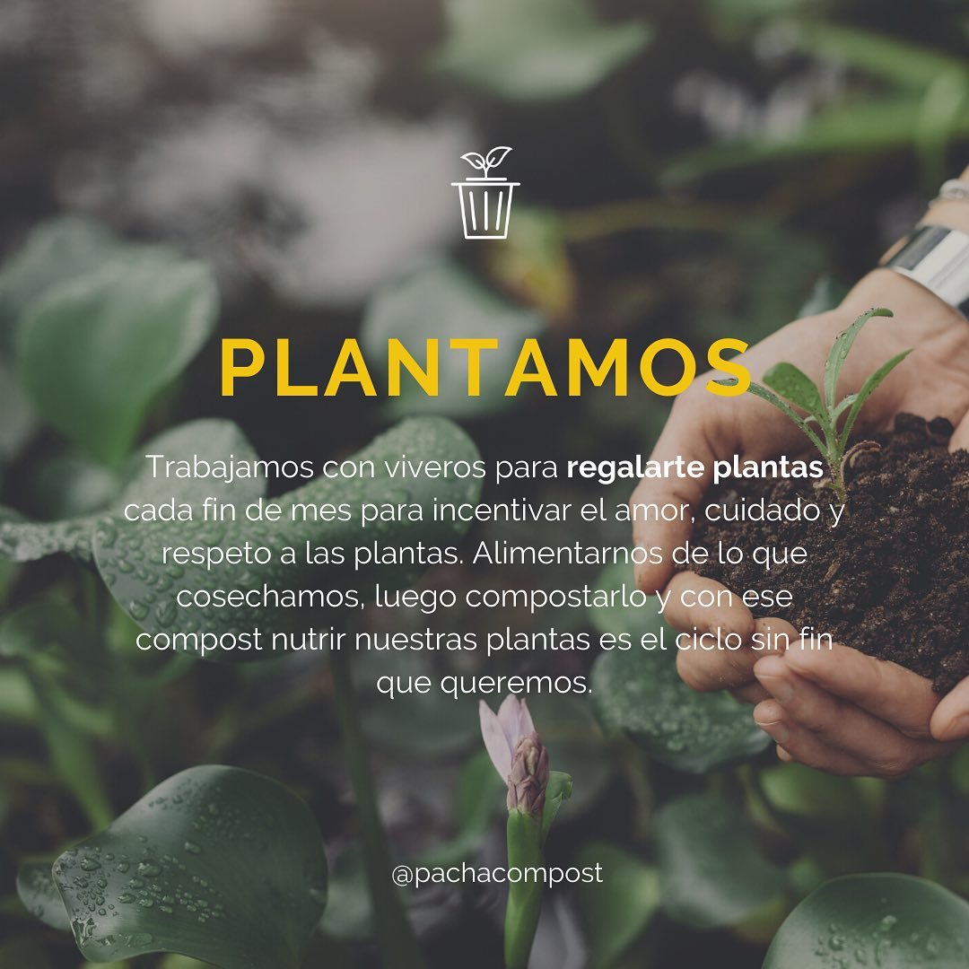 Pacha Compost