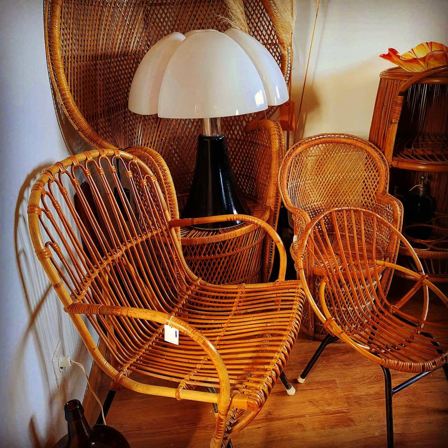 Cyclup Design - La famille rottin Lampe vendue (juste pour...