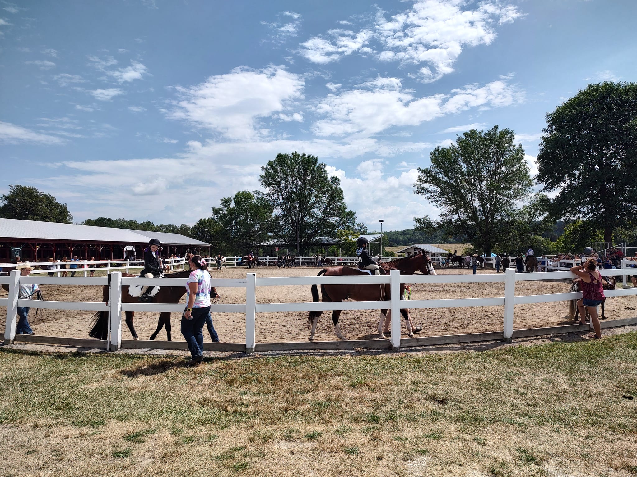 Addison County Fair & Field Days 4H and Open Horse Show