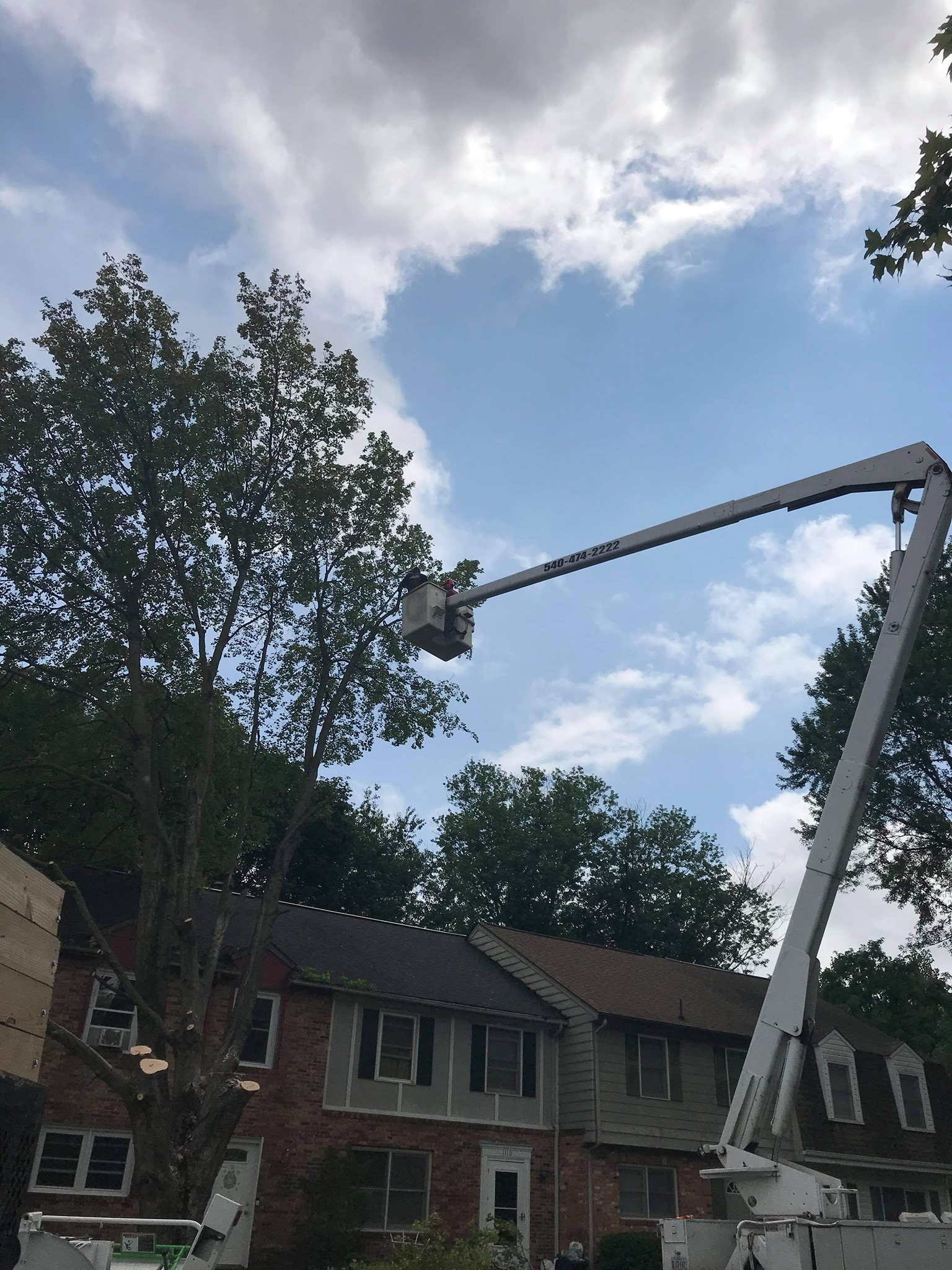 Top Notch Tree Service | Blue Grass VA