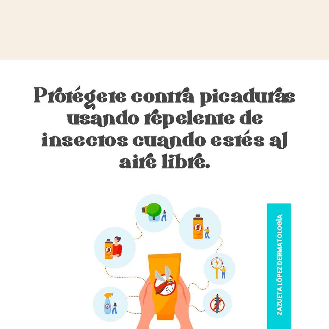 Zazueta - 🐝🪳🦟🕷🦂Adopta medidas prácticas para evitar las picaduras de ...