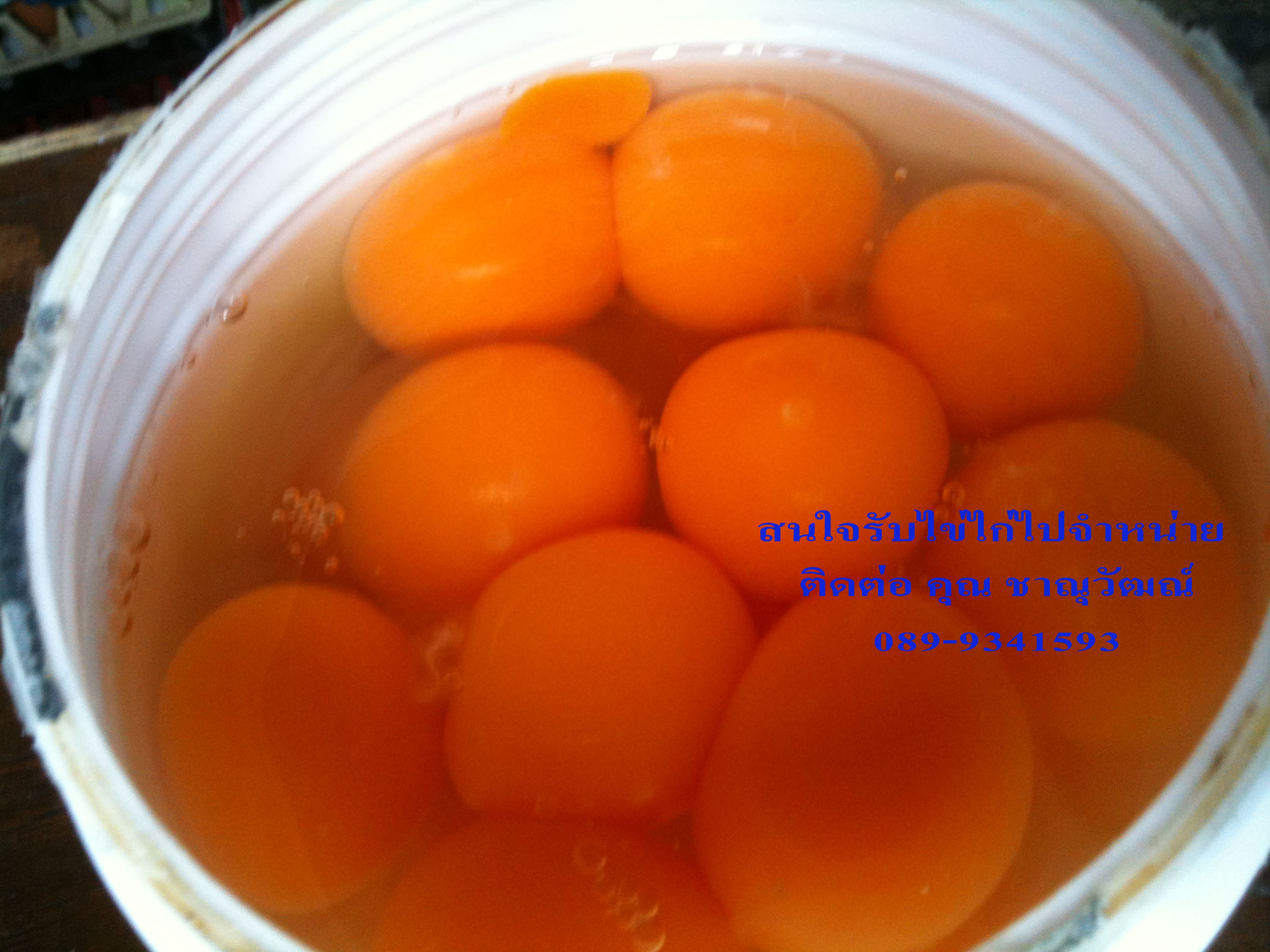 คิงส์ เอ้กส์ -... - คิงส์ เอ้กส์ - ราชาไข่ไก่ - King Eggs