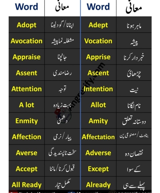 Hashmat Ali | Dir