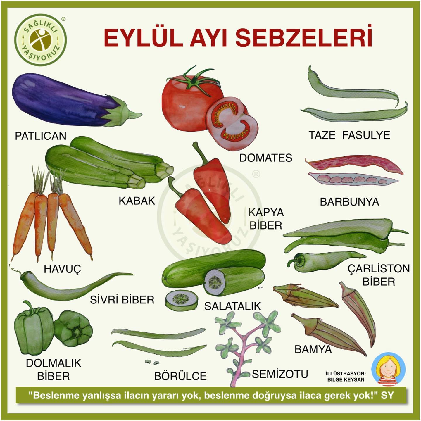 Sağlıklı Yaşıyoruz - EYLÜL AYI SEBZELERİ Sağlıklı beslenenler sebze ve ...