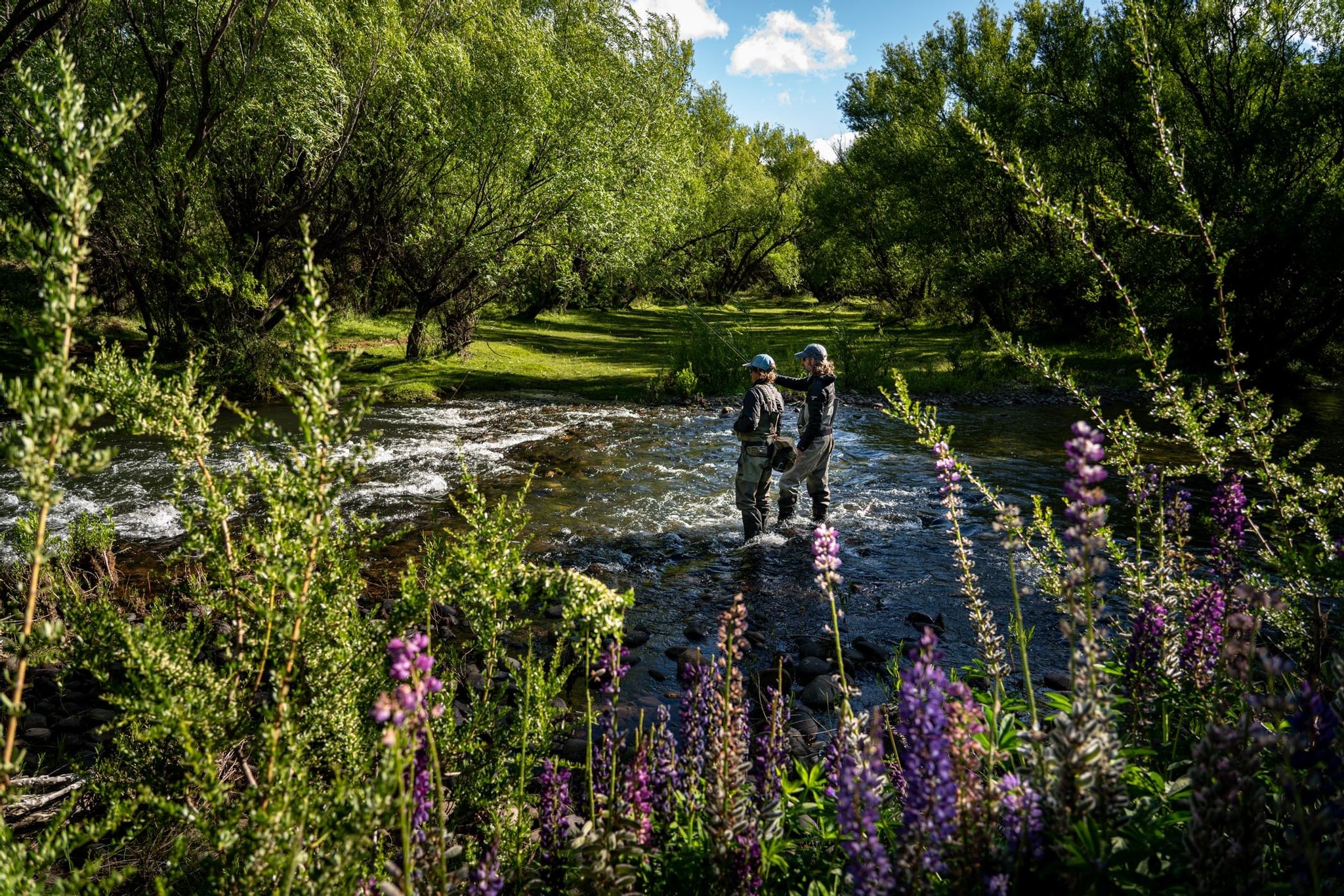 We have PRIME November (spring)... - Patagonia River Guides