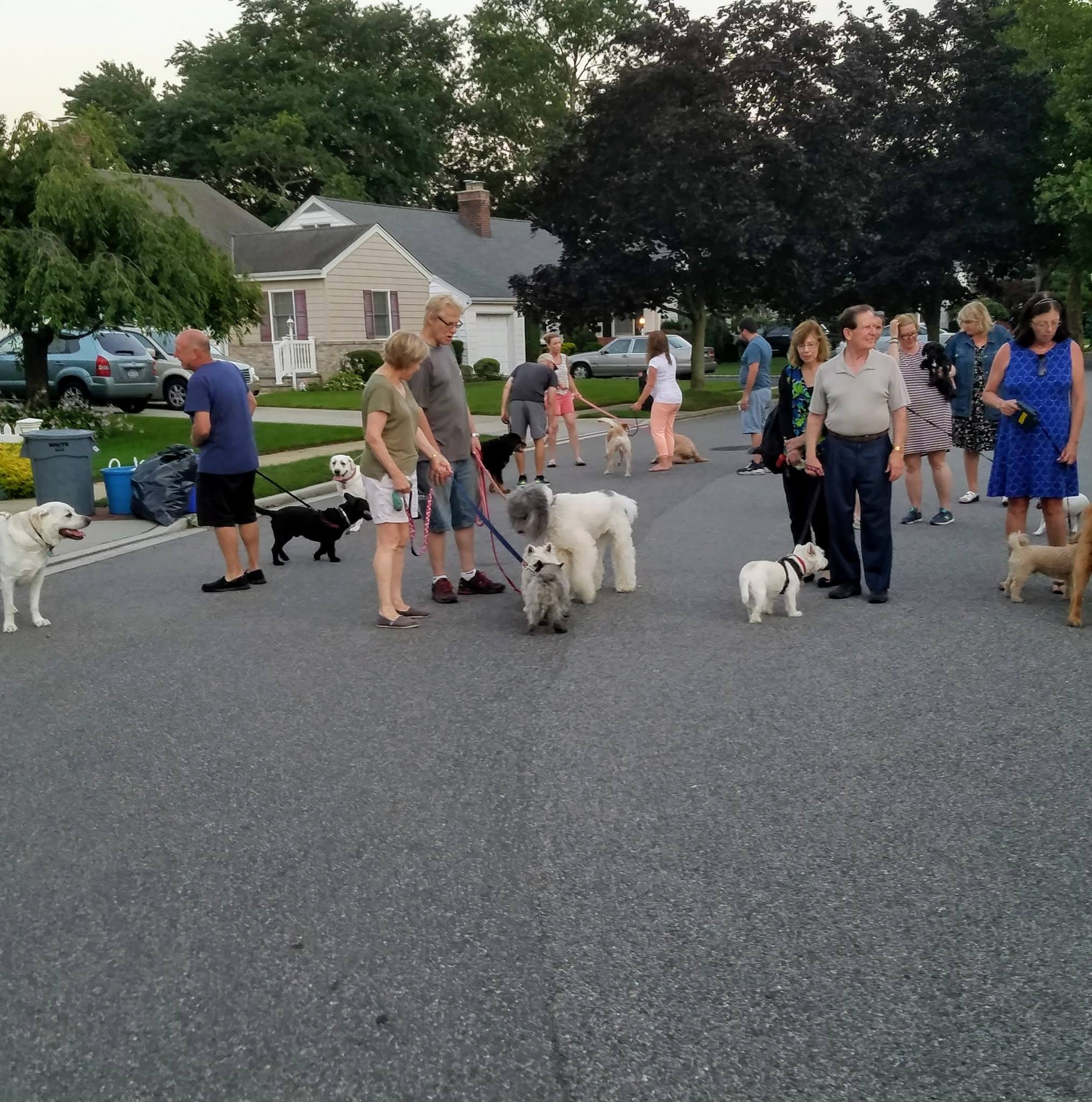 RVC WOOF PACK - This page/group is open to anyone who... | Facebook