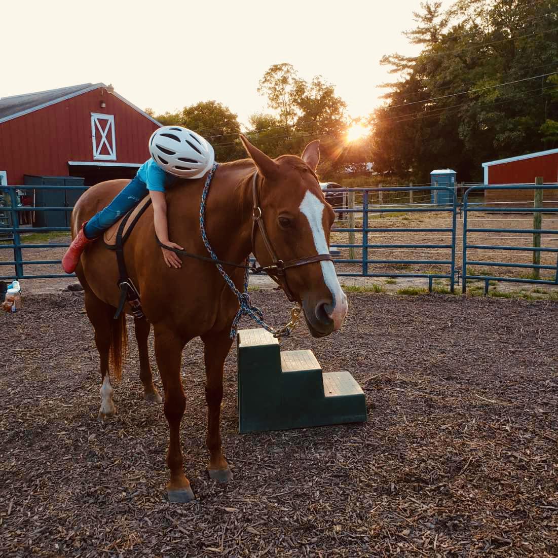Right Foot Ranch, Inc. | Lewisberry PA