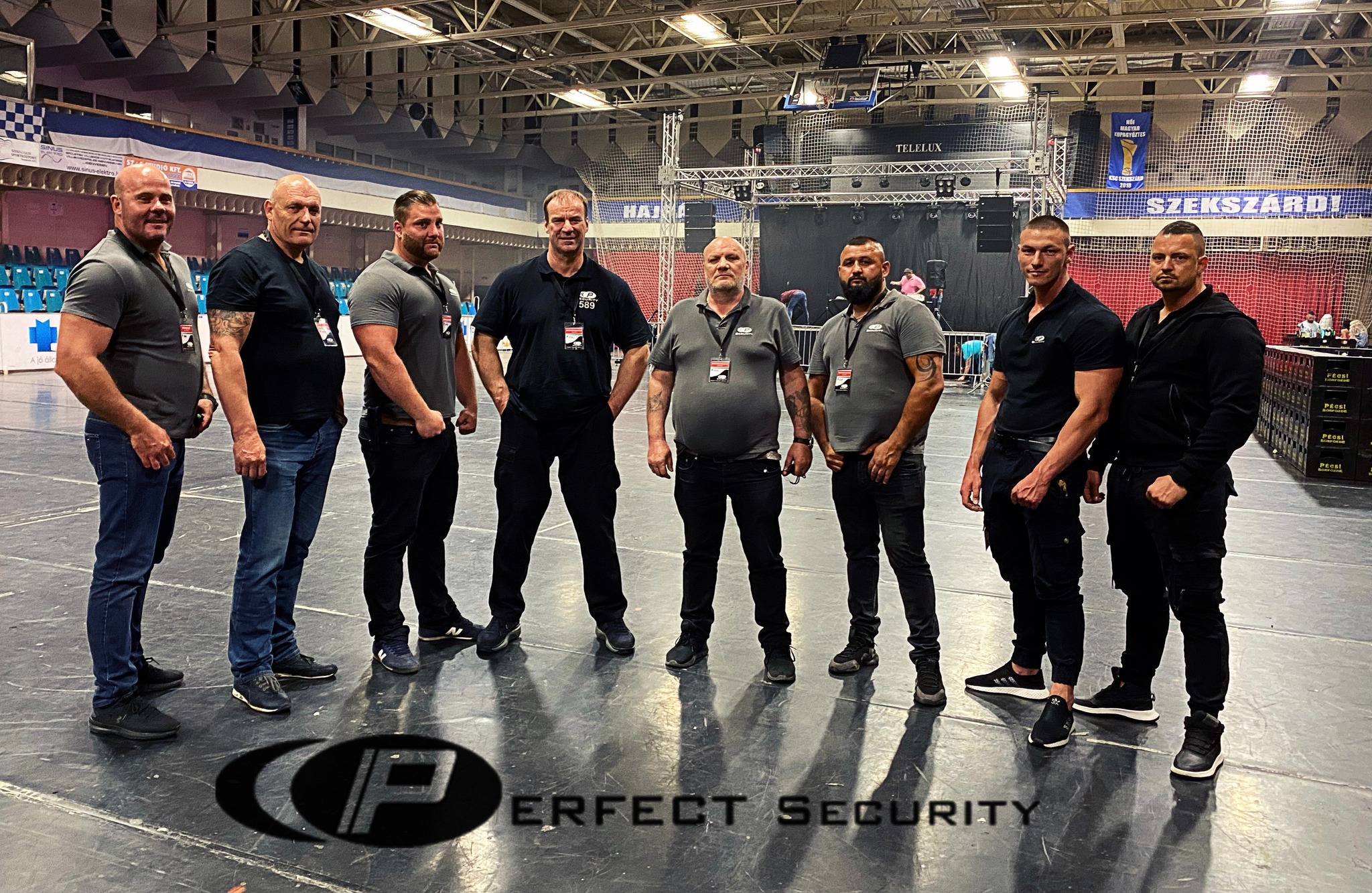 Perfect Protect Security Team
