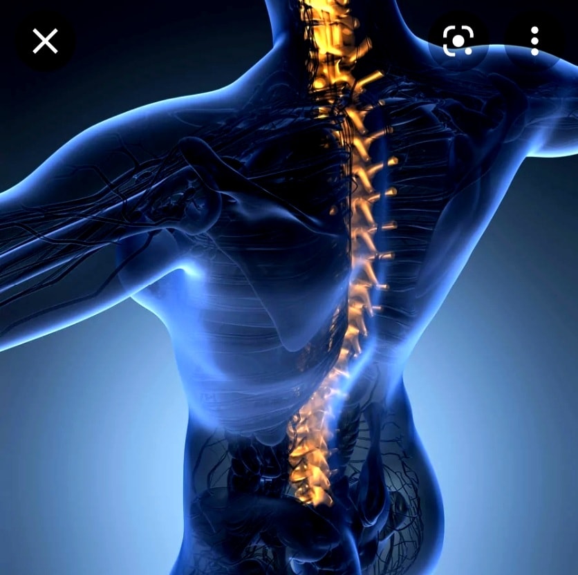 Top Bone Alignment and Treatment... - Kung Fu Tit Tar 功夫铁打 | Facebook