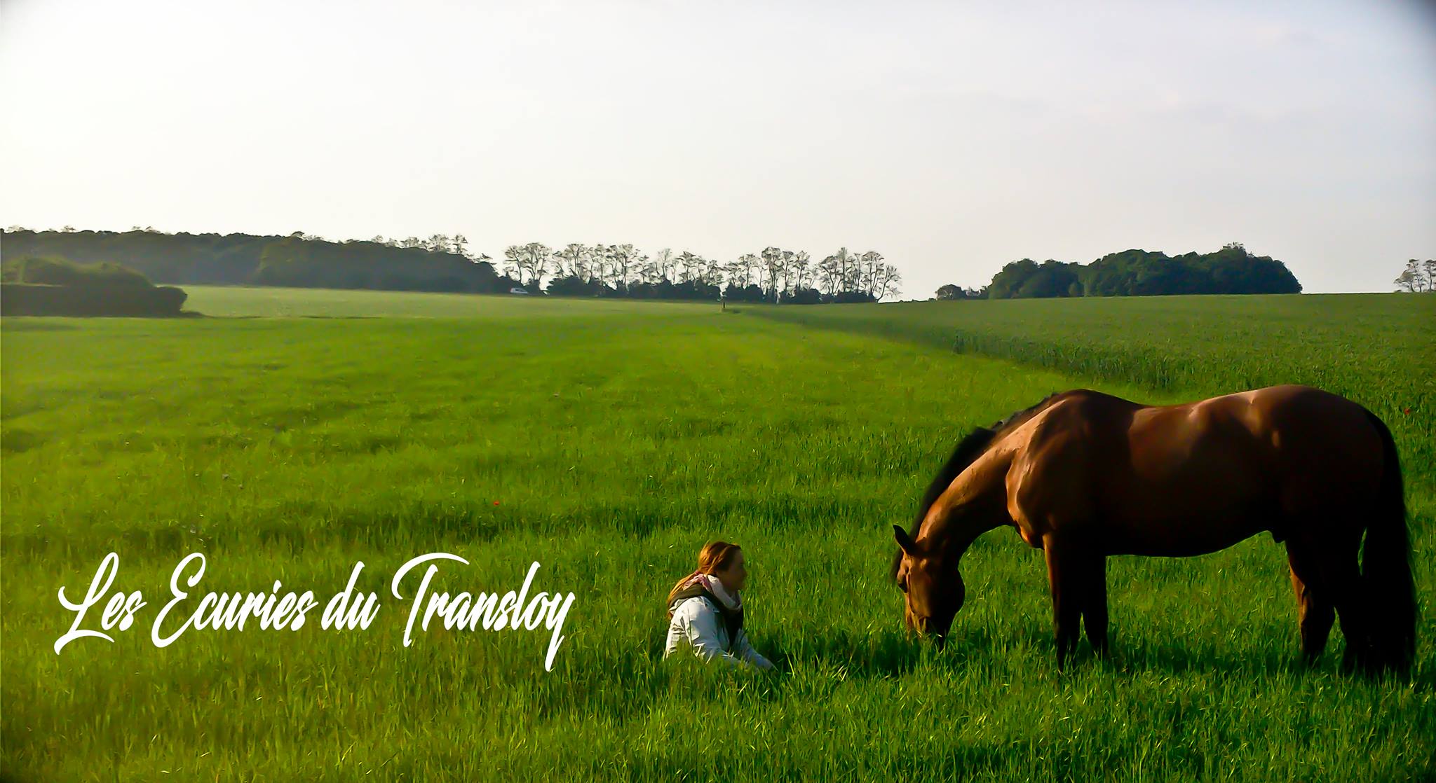 Ranch... - Ranch PF spectacles ,pensions et cours d equitation