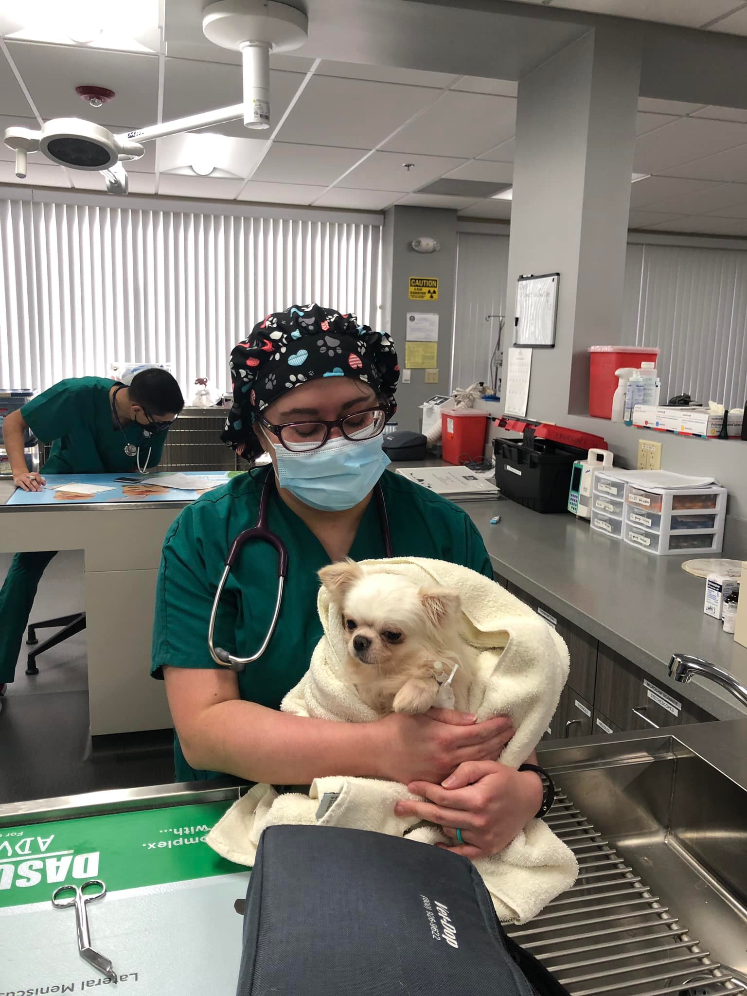 TMCC Veterinary Nursing and Assistant Programs | Reno NV