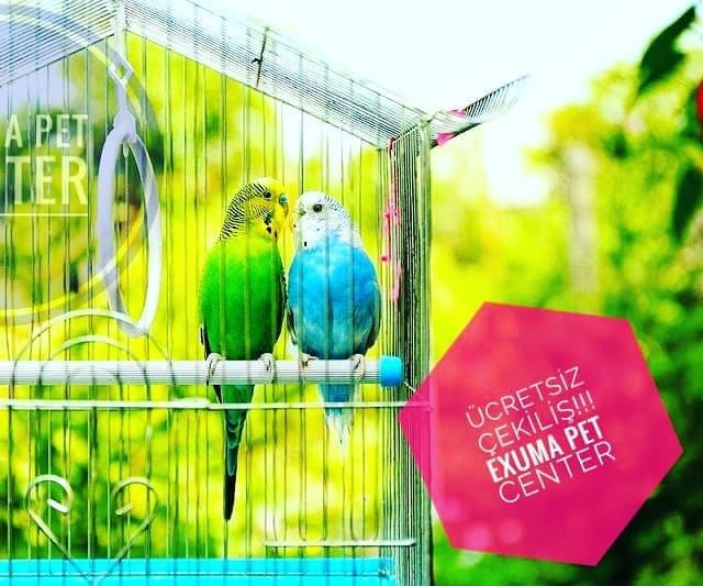 Exuma Pet Center