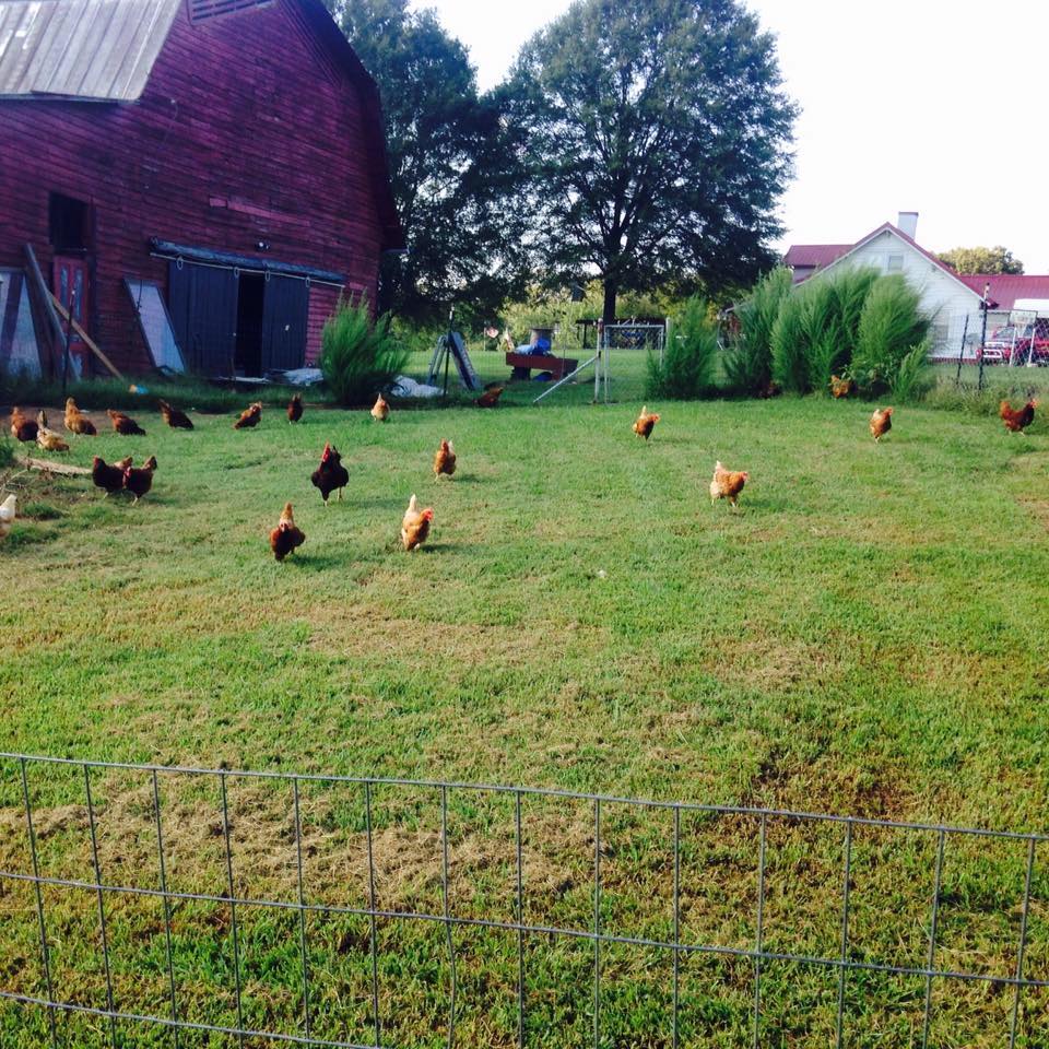Wilfong–Wilson Farm photo 2