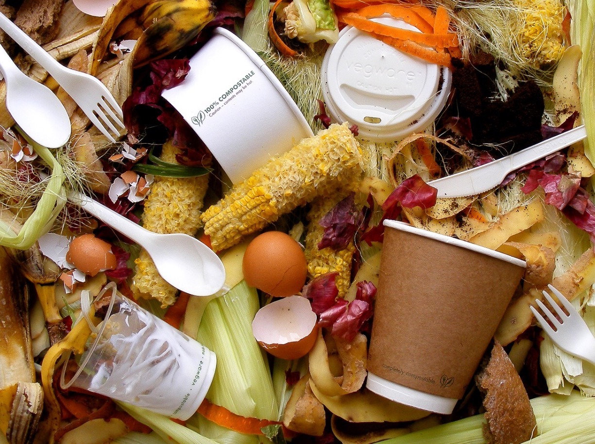 Griin Pack - ¿Que significa compostable? 🥗🥑🥕🍅🥬🍌 🤓 El proceso de ...