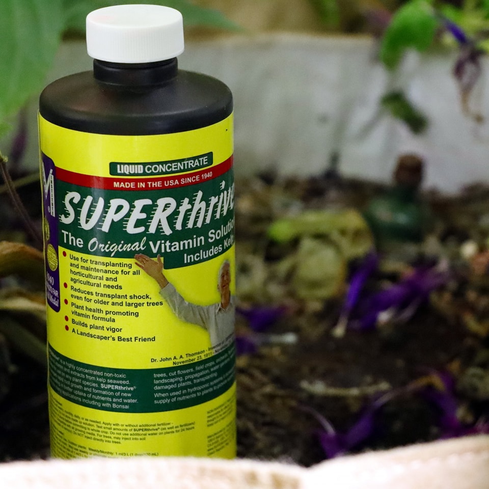 GroWorks - Superthrive is a powerful vitamin-hormone... | Facebook