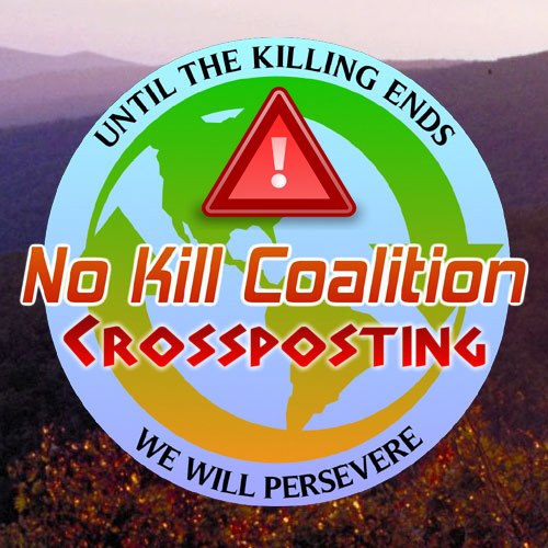 CA - No Kill Coalition Crossposting | Facebook