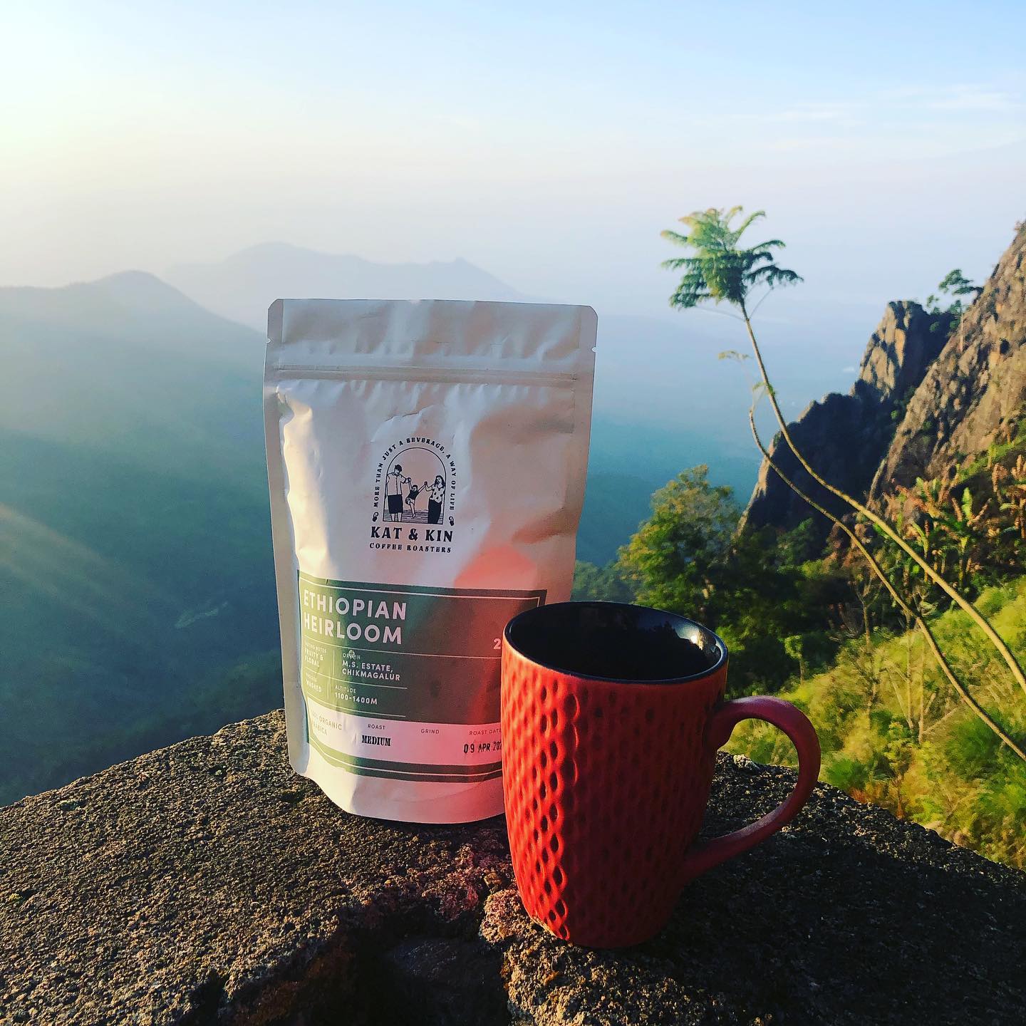The Ethiopian Heirloom, best enjoyed... - Kat & Kin Coffee