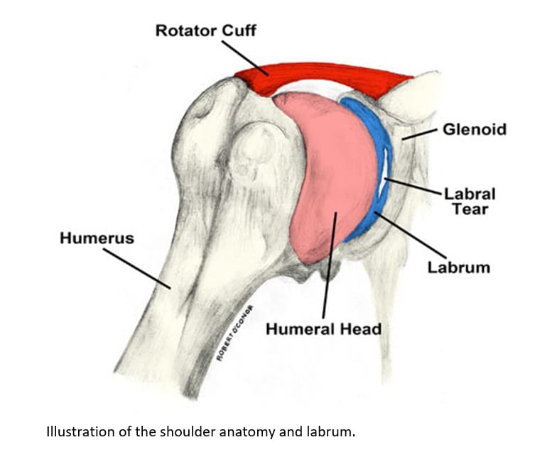 bpc 157 labral tear Has labrum surgery helped with shoulder injury? Peptide Therapy: The Complete Number of Vials:2 Vials (Differentiated Results) Chorionic Gonadotropin