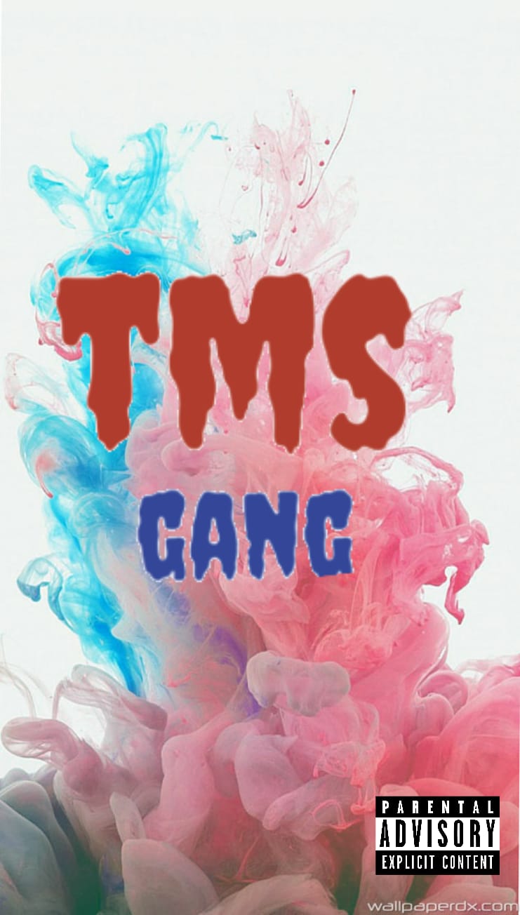 Tms Isa