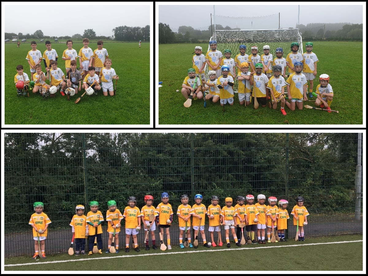 Bruff RFC girls Rugby added a new... - Bruff RFC girls Rugby