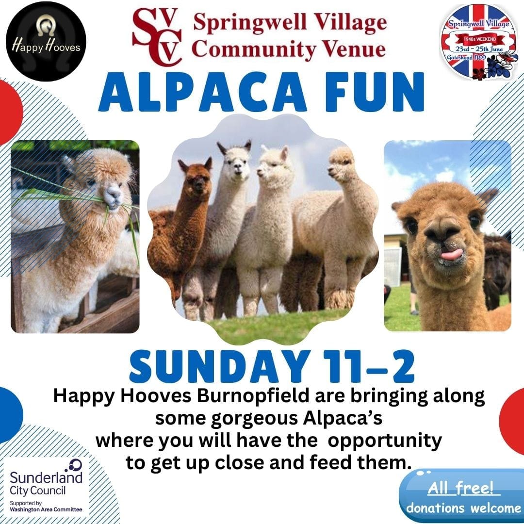 Happy Hooves Burnopfield | Newcastle upon Tyne
