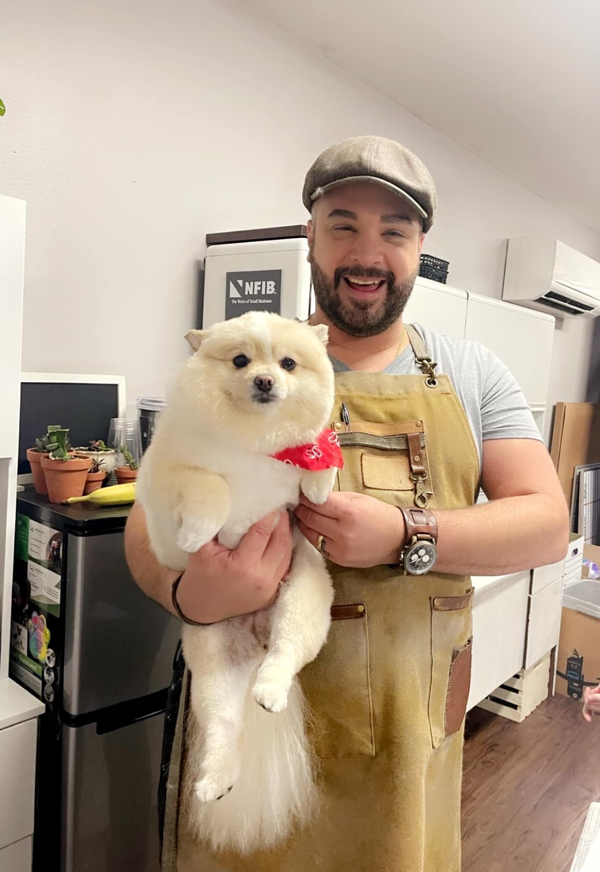 Hooves and Paws Pet Hospital Home
