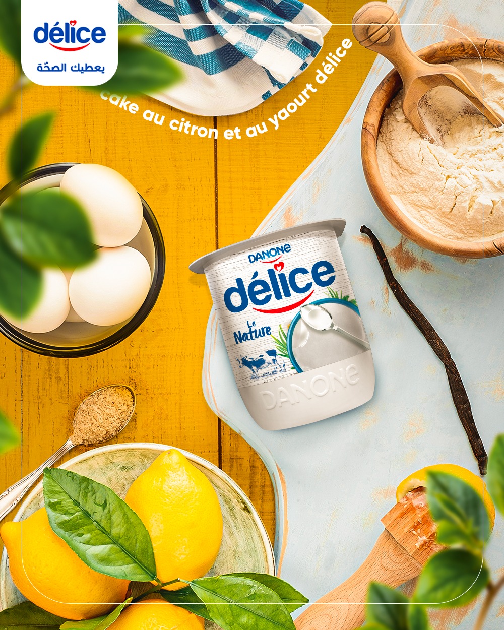 yaourt-d-lice-tunisie-recette
