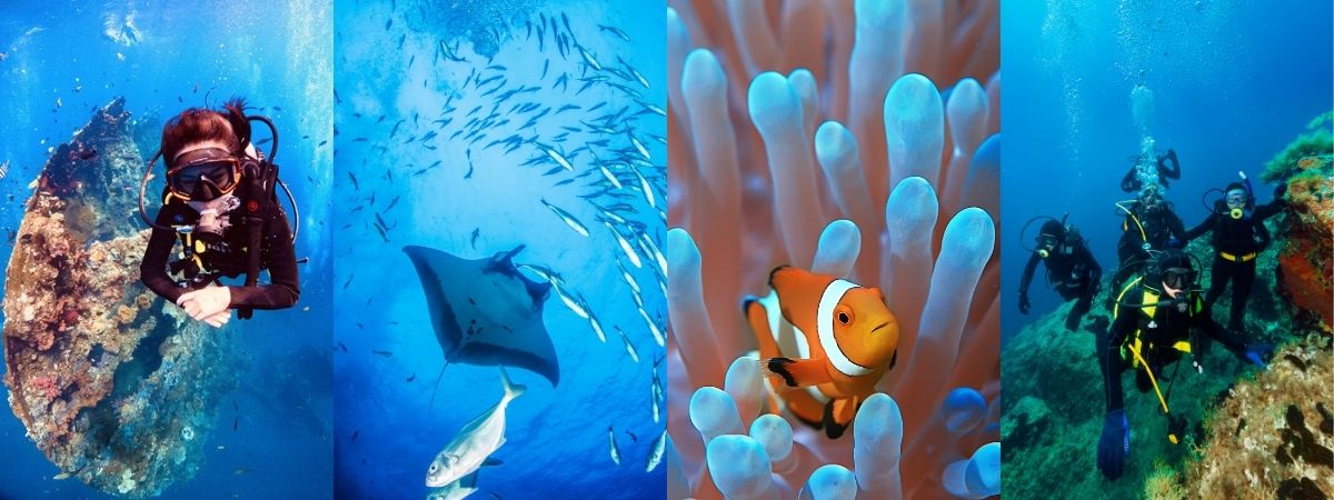 BB Marine Boating & Scuba Diving - Sidemount Center เรียนดำน้ำ เรียนขับ ...