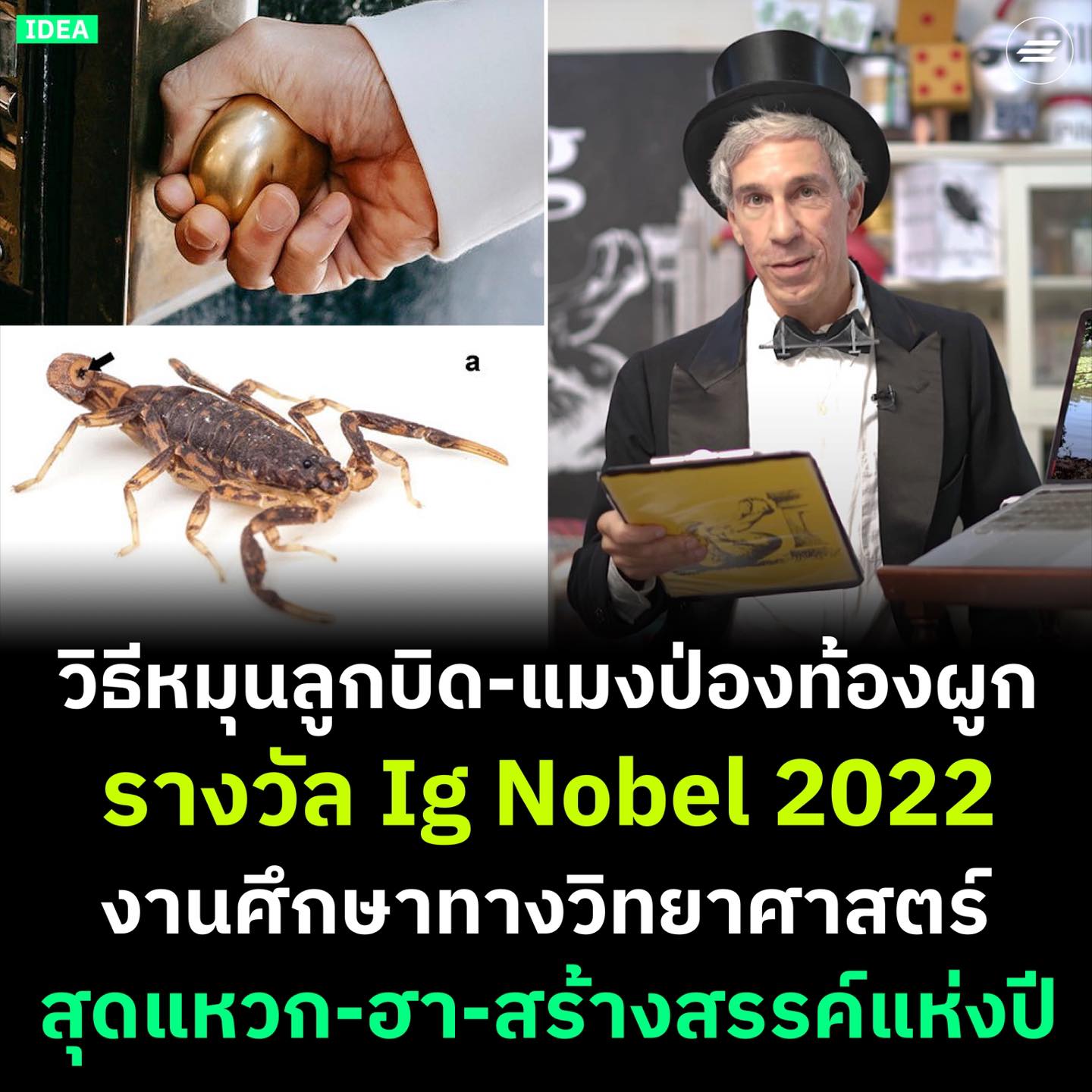 Environman - รวม Ig Nobel Prize 2022 รางวัลผลงานศึกษาทางวิทยาศาสตร์สุด ...